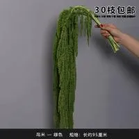 амарант зеленый амарант зеленый