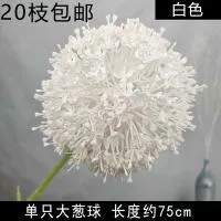 опт 10 штук одуванчик белый опт 10 штук одуванчик белый