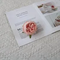 пачка 20 штук пион 8 см светло-розовый