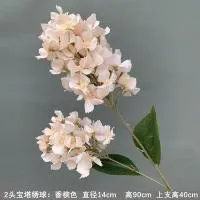 гортензия садовая двойная ткань шампань