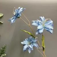 лилия тройная голубая