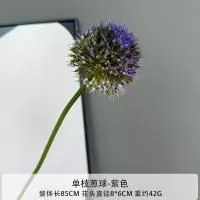 одуванчик зелено-фиолетовый