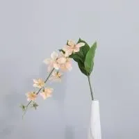 ампельный морозник опт 10 штук  бежево-розовый