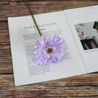 гербера одиночная фиолетовый