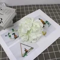 пачка 20 штук голова гортензий белая