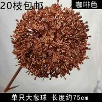 опт 10 штук одуванчик коричневый опт 10 штук одуванчик коричневый