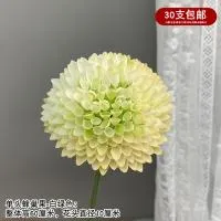 лук сотовый салатовый лук сотовый салатовый