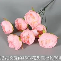 букет пионов 7 голов розовый