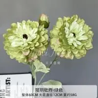 пион черная середина салатовый