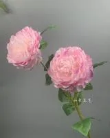 двойной пион диаметр 12 см светло-фиолетовый