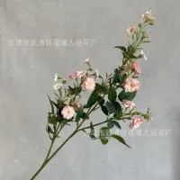 мелкоцвет с зеленью розовый