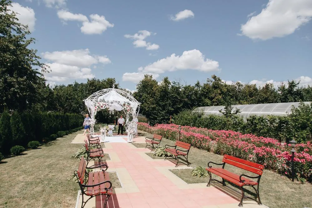 Свадьба в агроусадьбе "Вероника" Свадьба в агроусадьбе "Вероника"