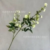 мелкоцвет с зеленью салатовый