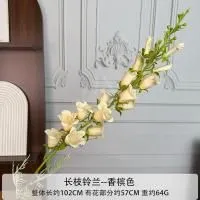 колокольчик 5 шт шампань