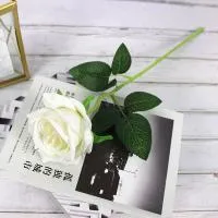 одиночная роза белая