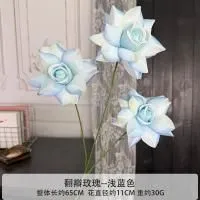 остролистная тройная роза светло-голубая