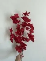 ветка бордовая