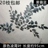 зелень бузины опт 10 штук синий