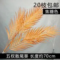 10 штук пальма 1 карамельный