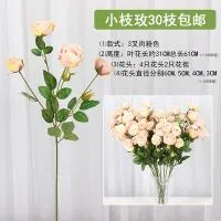 кустовый пион кремовый