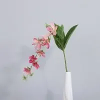 ампельный морозник опт 10 штук  розовый