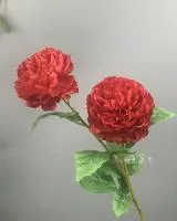 двойной пион диаметр 12 см красный