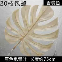 лист монстеры айвори