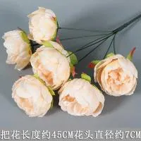 букет пионов 7 голов кремовый