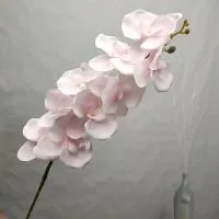 орхидея ткань эконом светло-розовый