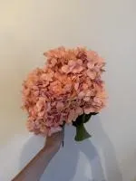 букет гортензии