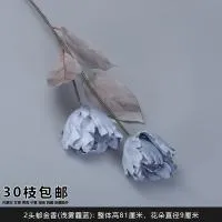 двойной тюльпан голубой