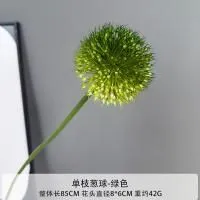 одуванчик зеленый