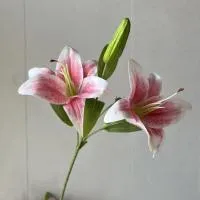 лилия 3D крапинка