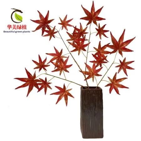 листья клена красные