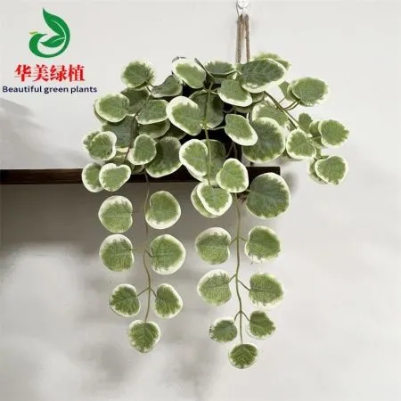 висячий эвкалипт 42 см