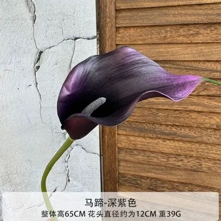 калла EVA темно-фиолетовая