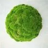 полусфера из мха 2 шт зеленая 40