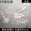 зелень бузины опт 10 штук розовый