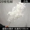опт 10 штук ветка клена пышная белая