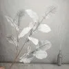 Ветка хосты светло-серая