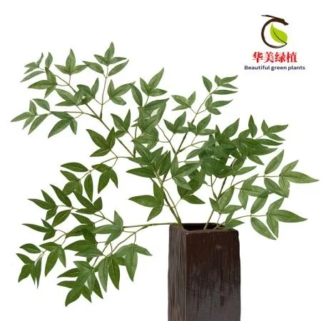 бамбук светло-зеленый