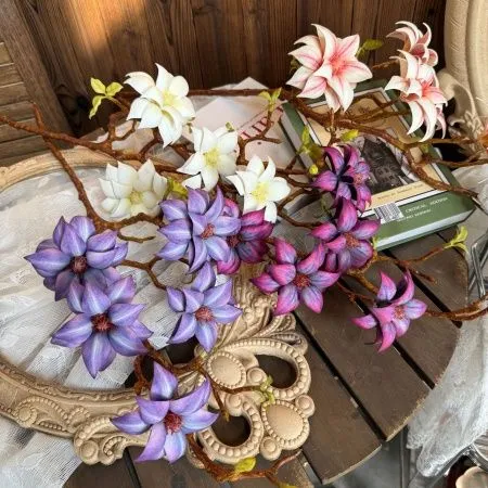 магнолия сине-фиолетовая