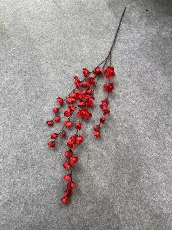 ветка глицинии красный