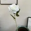 Одинарная остролистная роза белый