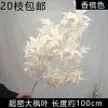 опт 10 штук ветка клена пышная айвори