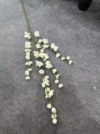 ветка глицинии белая