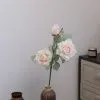 ветка розы опт 10 штук бело-розовая