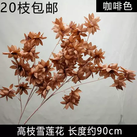 ветка лотоса коричневый