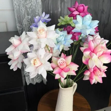 остролистная тройная роза фуксия