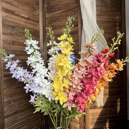 дельфиниум 5 штук шампань